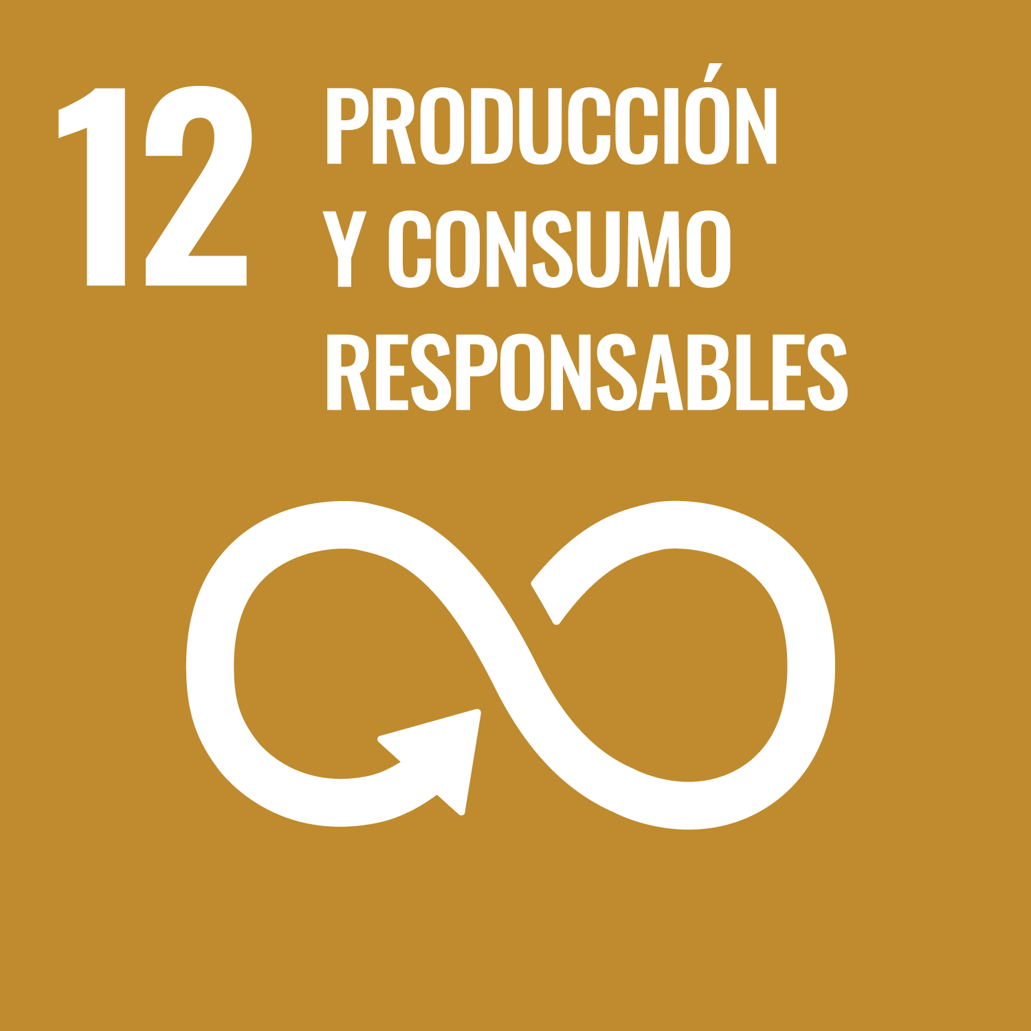 12 - Producción y Consumo Responsables