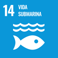 14 - Vida Submarina