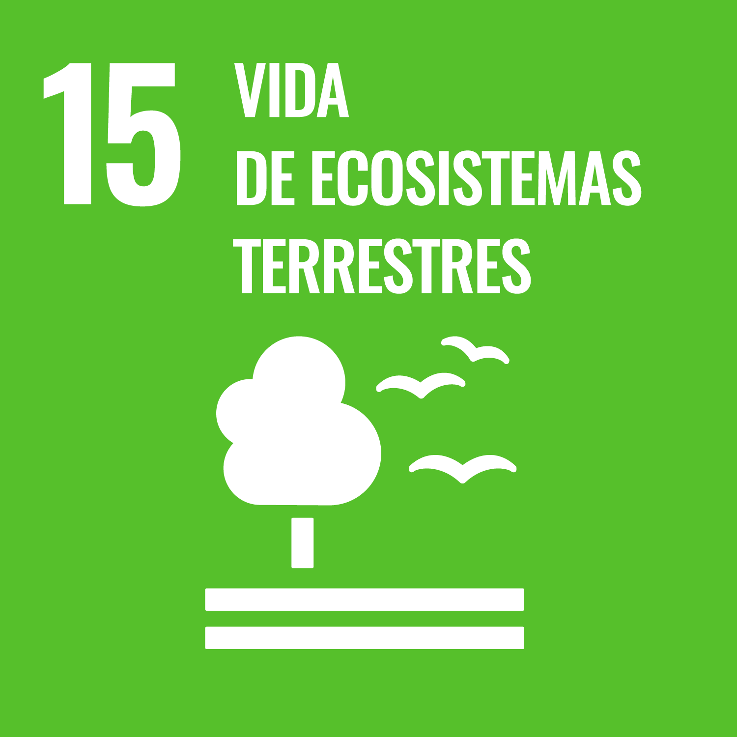 15 - Vida de Ecosistemas Terrestres