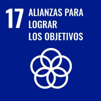 17 - Alianzas para Lograr Objetivos