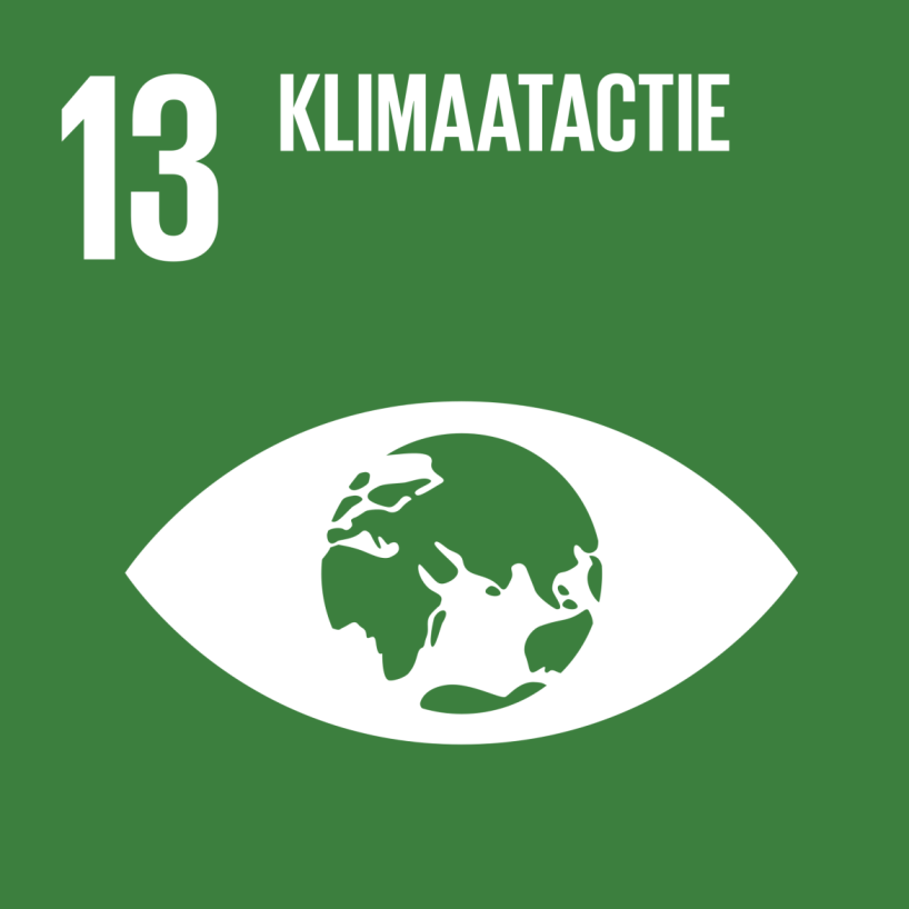 13 - Klimaatactie